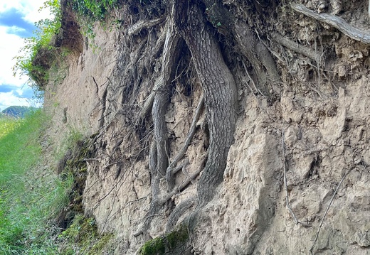 22-06-06 11-36-45 1061